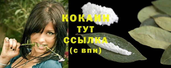 крисы Армянск