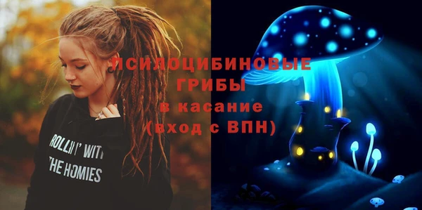 ECSTASY Алзамай