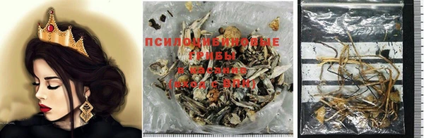 крисы Армянск